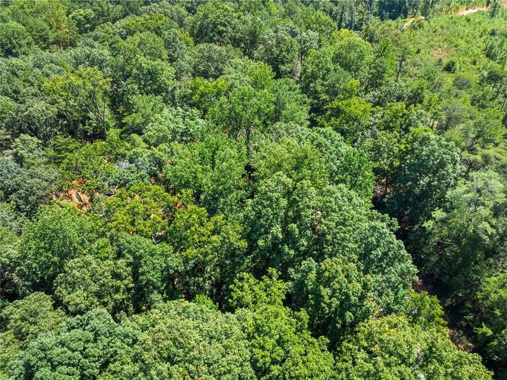 unimproved land for sale at 0 Holly Springs Road, Toccoa, GA 30577 — photo 8