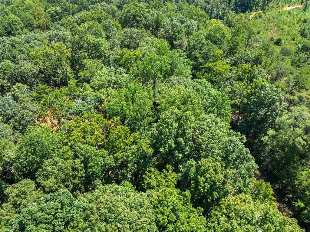 unimproved land for sale at 0 Holly Springs Road, Toccoa, GA 30577 — photo 9
