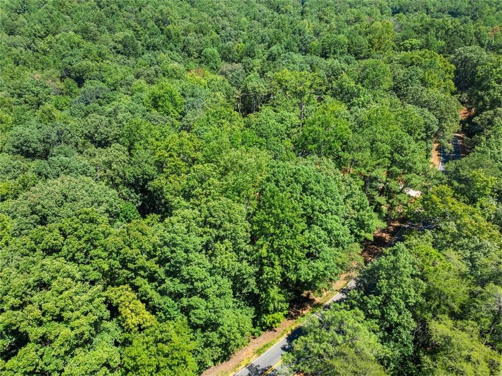 unimproved land for sale at 0 Holly Springs Road, Toccoa, GA 30577 — photo 10
