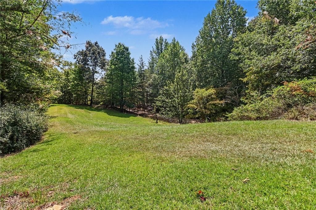 4 bedroom, 3 bathroom, 2,712 sq ft single family residence for sale at 825 Satterfield Road, Cleveland, GA 30528 — photo 3