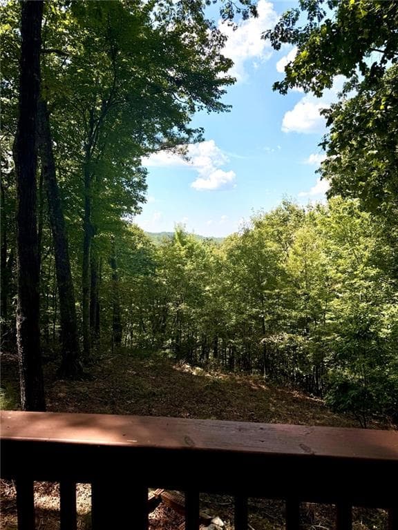 3 bedroom, 2 bathroom, 1,435 sq ft single family residence for sale at 110 Ridge Drive, Ellijay, GA 30540 — photo 5