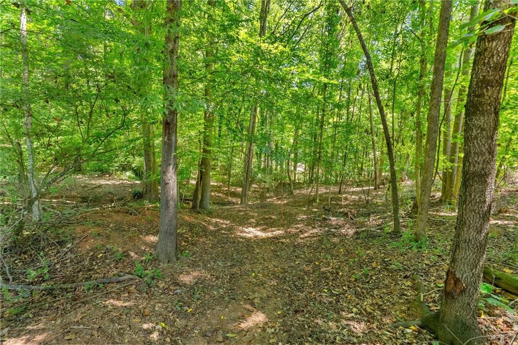 single family residence for sale at 3173 Alenes Drive, Gainesville, GA 30506 — photo 9