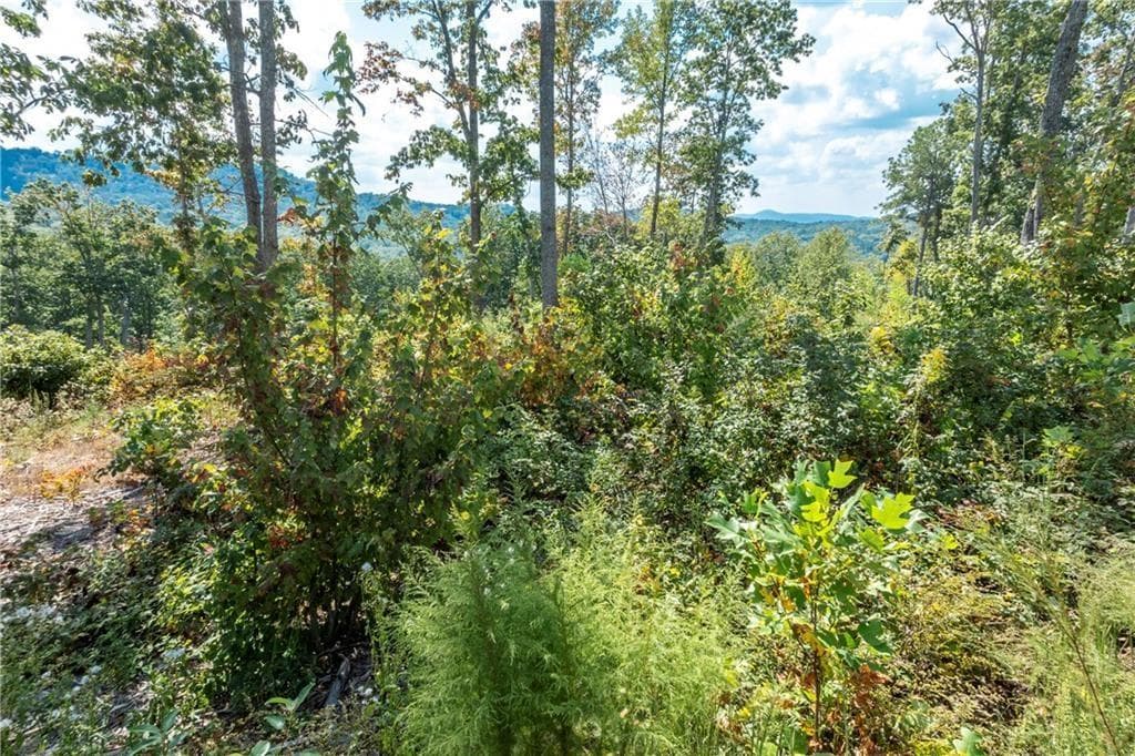 single family residence for sale at 279 Highgrove Drive, Talking Rock, GA 30175 — photo 1 of 20