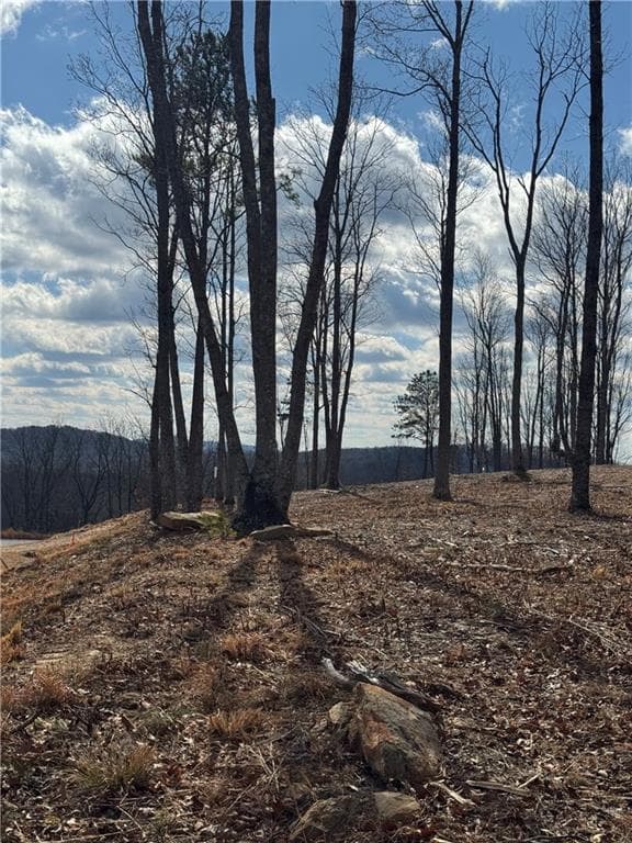 single family residence for sale at 279 Highgrove Drive, Talking Rock, GA 30175 — photo 8