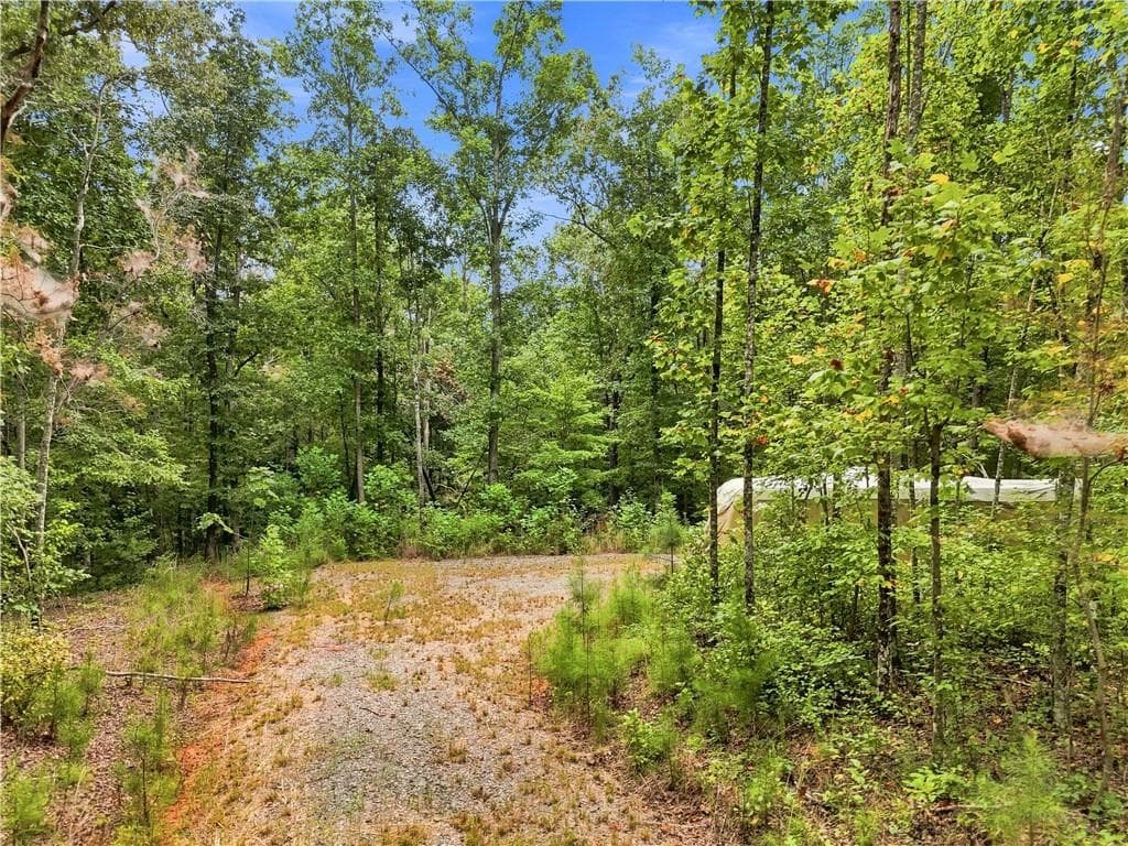 other for sale at 2040 Pleasant Union Road, Canton, GA 30114 — photo 3