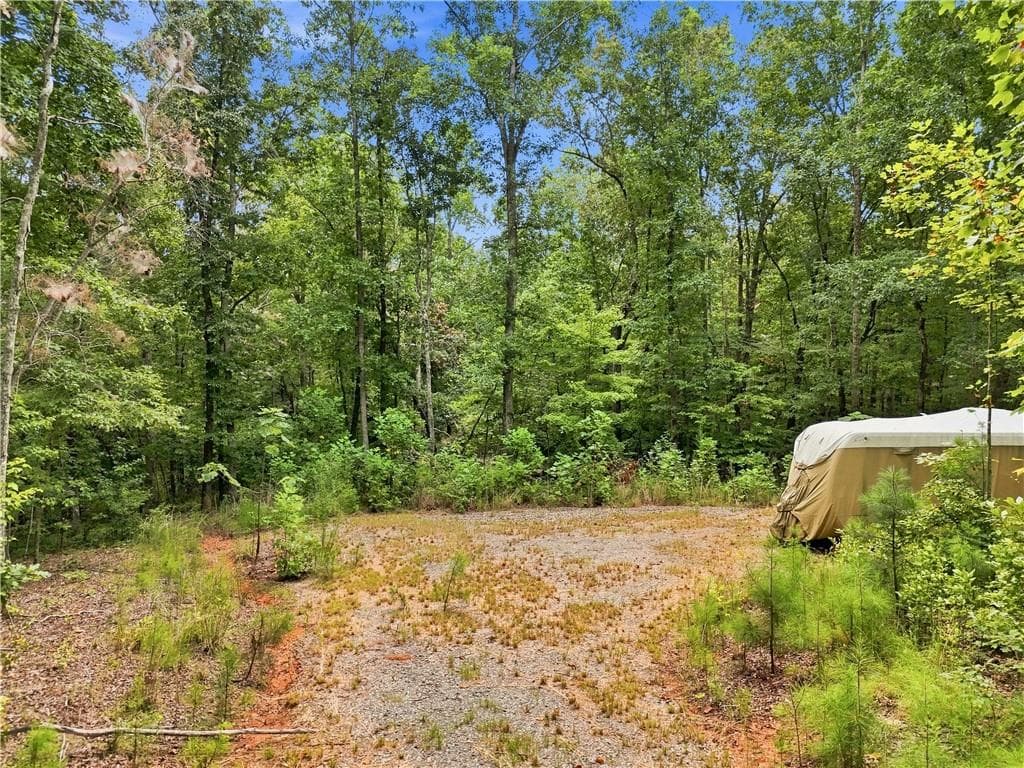 other for sale at 2040 Pleasant Union Road, Canton, GA 30114 — photo 4