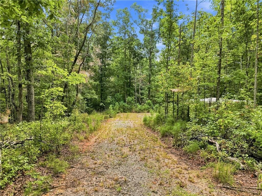 other for sale at 2040 Pleasant Union Road, Canton, GA 30114 — photo 5