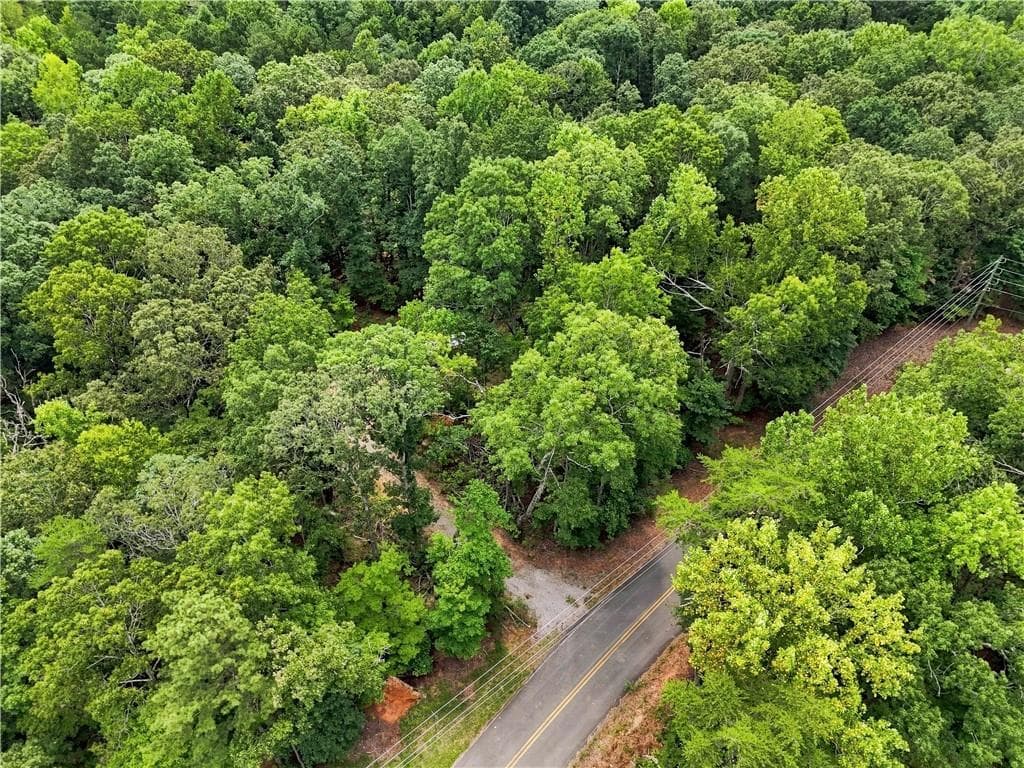 other for sale at 2040 Pleasant Union Road, Canton, GA 30114 — photo 8
