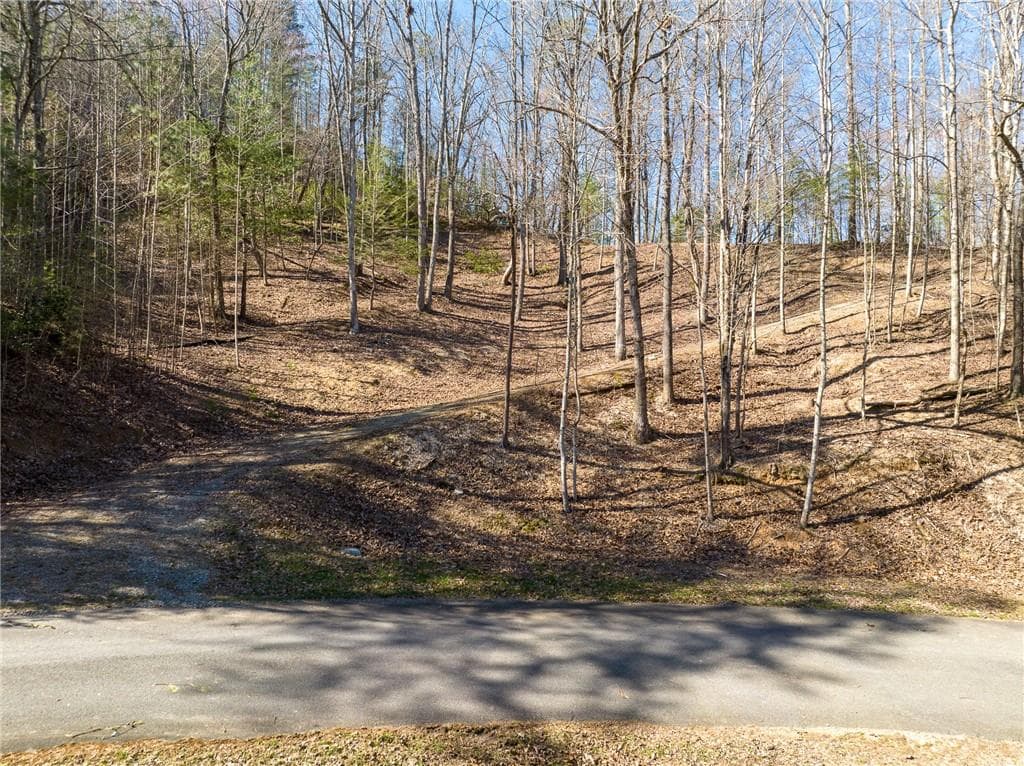 other for sale at 0 Chicasaw Drive, Ellijay, GA 30540 — photo 3