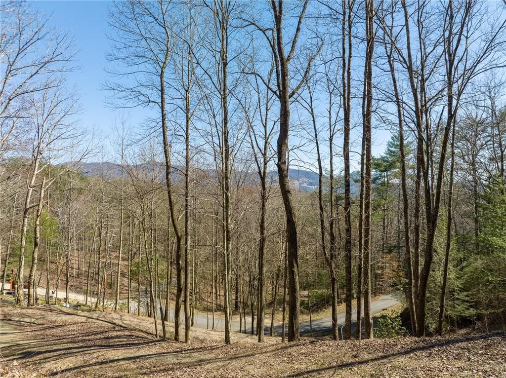 other for sale at 0 Chicasaw Drive, Ellijay, GA 30540 — photo 4