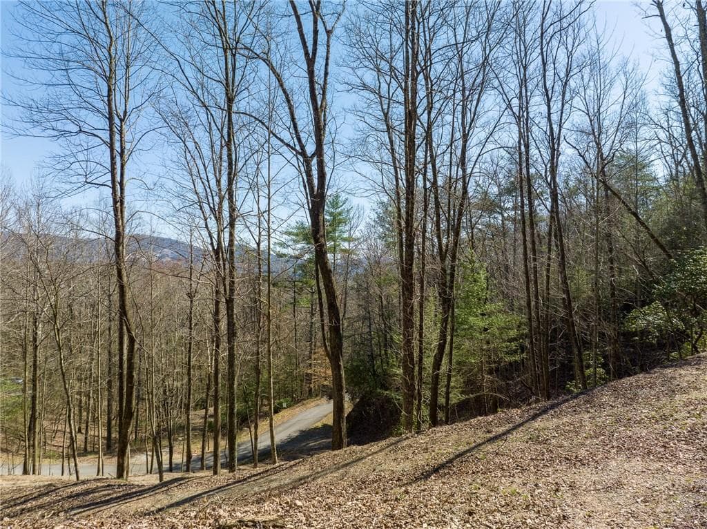 other for sale at 0 Chicasaw Drive, Ellijay, GA 30540 — photo 5