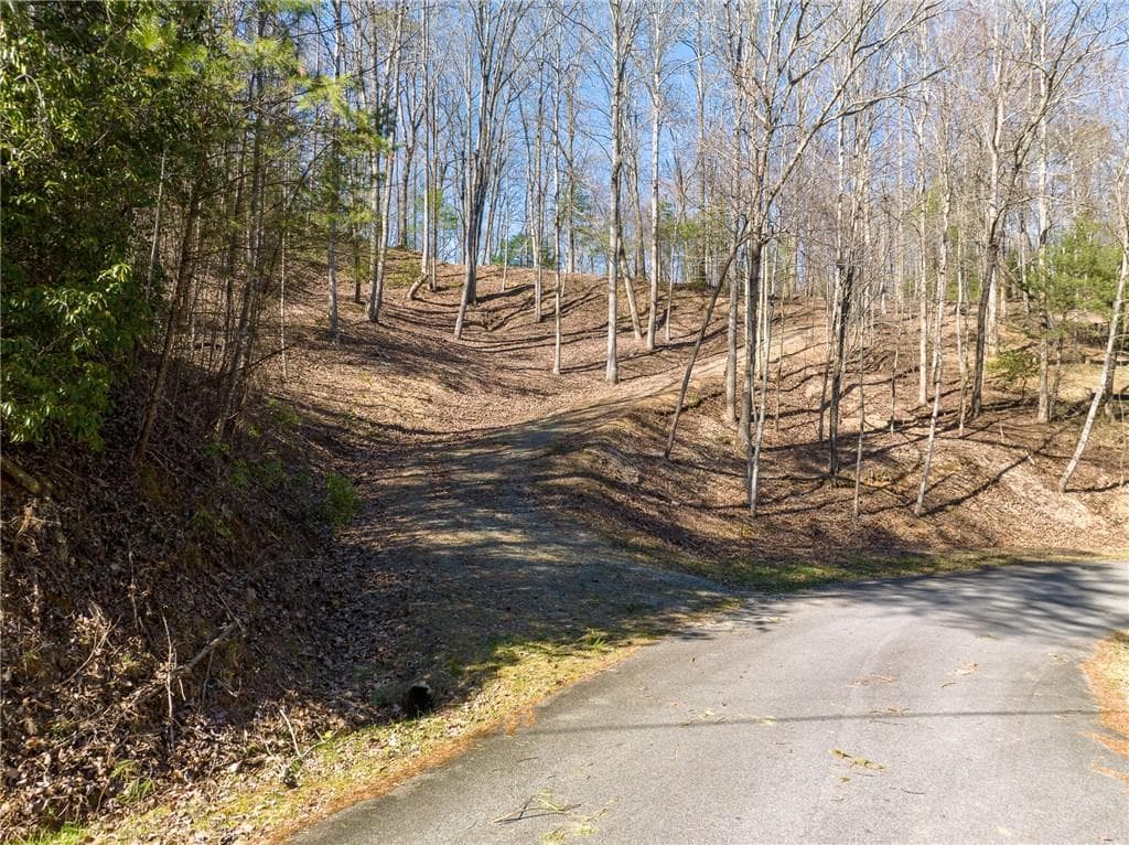 other for sale at 0 Chicasaw Drive, Ellijay, GA 30540 — photo 6