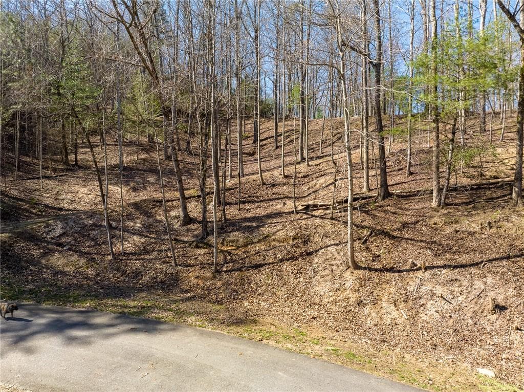 other for sale at 0 Chicasaw Drive, Ellijay, GA 30540 — photo 7