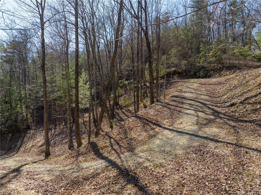 other for sale at 0 Chicasaw Drive, Ellijay, GA 30540 — photo 8