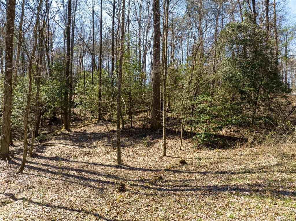 other for sale at 0 Shenendoa Drive, Ellijay, GA 30540 — photo 4