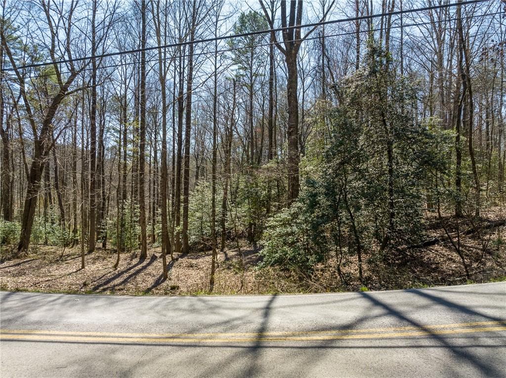 other for sale at 0 Shenendoa Drive, Ellijay, GA 30540 — photo 6