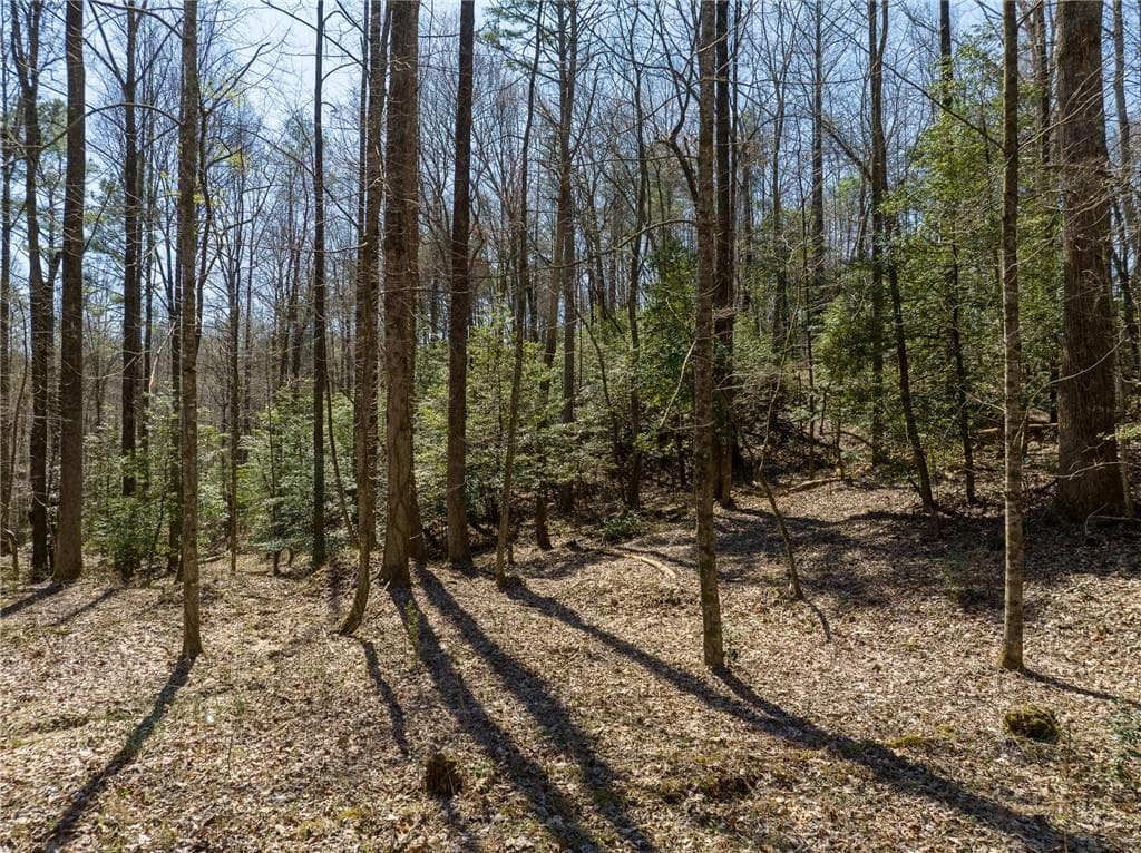 other for sale at 0 Shenendoa Drive, Ellijay, GA 30540 — photo 7