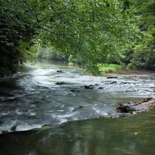 other for sale at 0 Shenendoa Drive, Ellijay, GA 30540 — photo 9