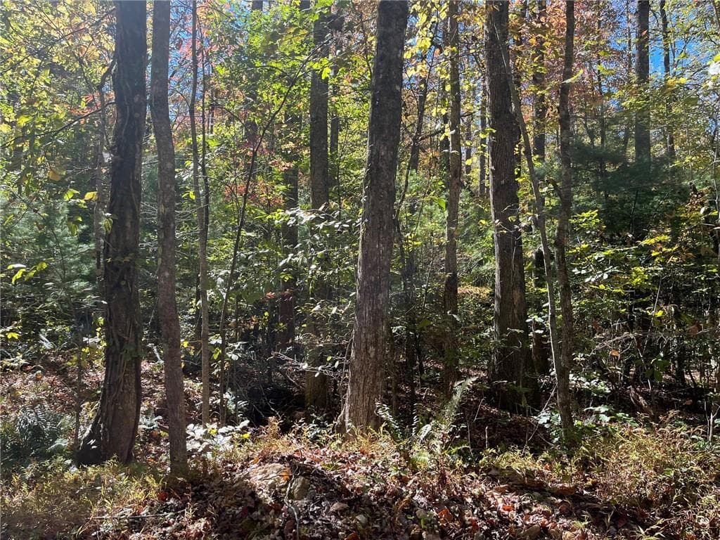 single family residence for sale at 0 Little Mountain Road, Dahlonega, GA 30533 — photo 3