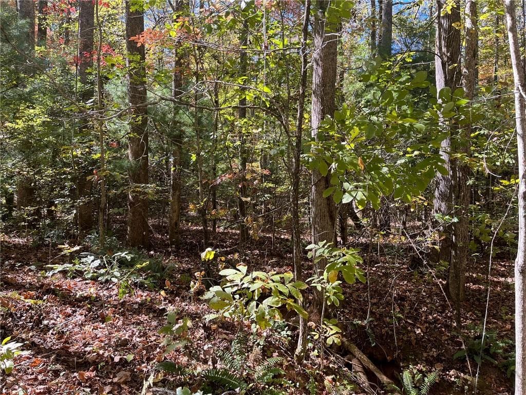 single family residence for sale at 0 Little Mountain Road, Dahlonega, GA 30533 — photo 4
