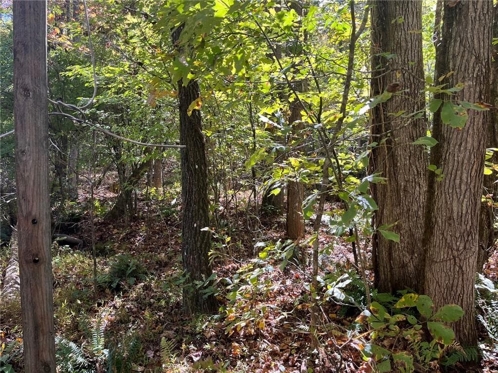 single family residence for sale at 0 Little Mountain Road, Dahlonega, GA 30533 — photo 5