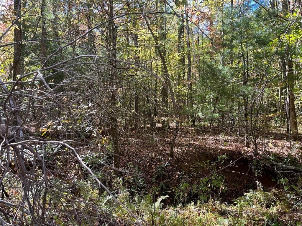 single family residence for sale at 0 Little Mountain Road, Dahlonega, GA 30533 — photo 6