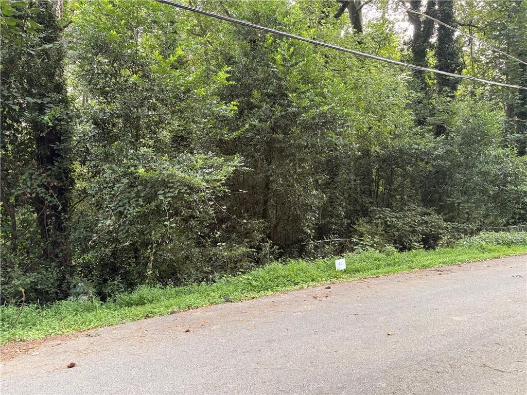 other for sale at Lot 11 Adamson Road, Jonesboro, GA 30236 — photo 3