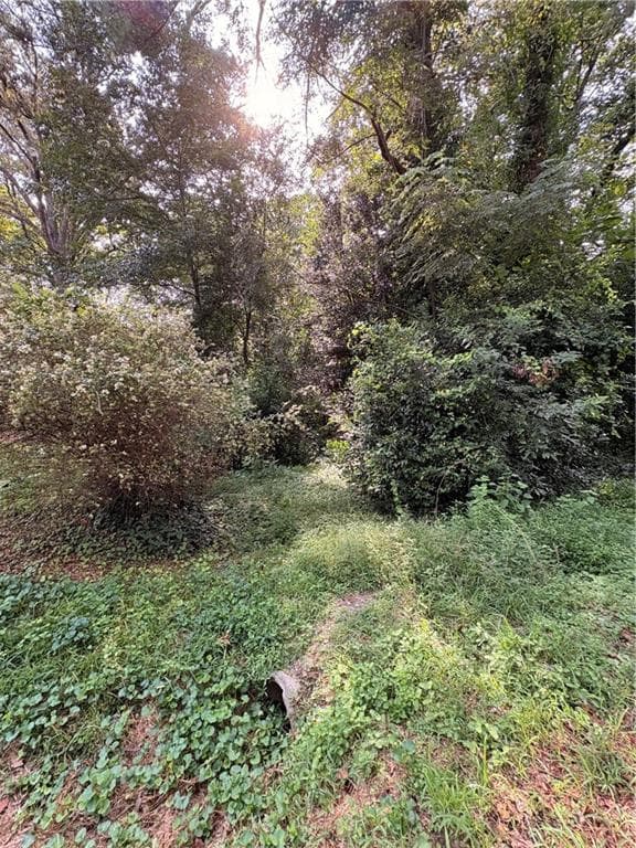 other for sale at Lot 11 Adamson Road, Jonesboro, GA 30236 — photo 4