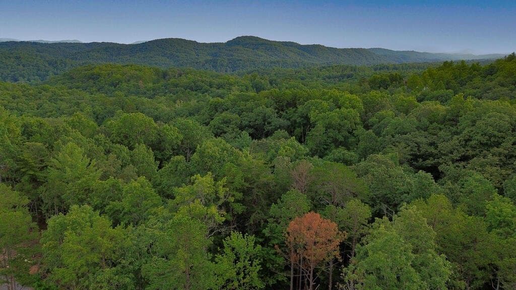 single family residence for sale at LOT 6 Allaire Lane, Mineral Bluff, GA 30559 — photo 2