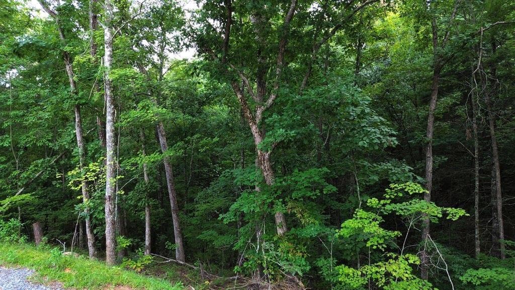 single family residence for sale at LOT 6 Allaire Lane, Mineral Bluff, GA 30559 — photo 3