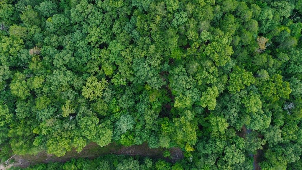 single family residence for sale at LOT 6 Allaire Lane, Mineral Bluff, GA 30559 — photo 4