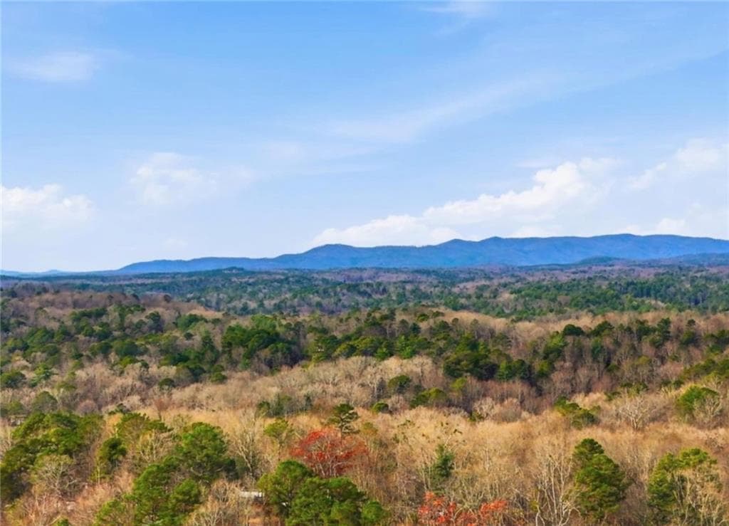 1 bedroom, 1 bathroom single family residence for sale at 93 2Nd Street, Ellijay, GA 30540 — photo 3