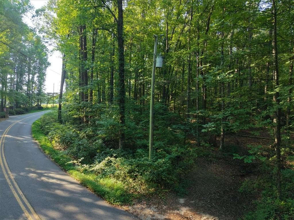 unimproved land for sale at 211 McDaniel Road, Marietta, GA 30064 — photo 4