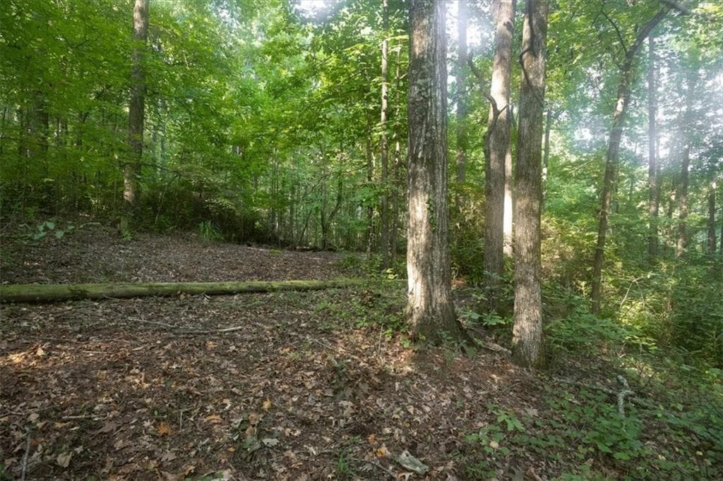 unimproved land for sale at 211 McDaniel Road, Marietta, GA 30064 — photo 6
