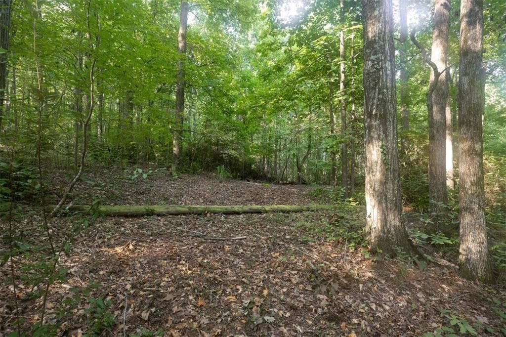 unimproved land for sale at 211 McDaniel Road, Marietta, GA 30064 — photo 7