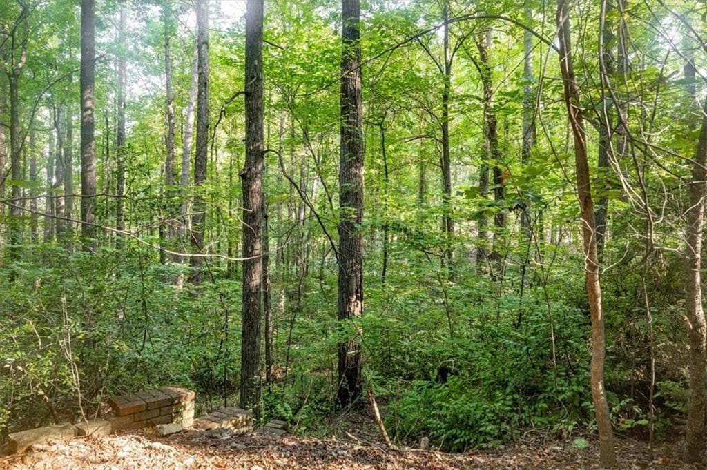 unimproved land for sale at 211 McDaniel Road, Marietta, GA 30064 — photo 3