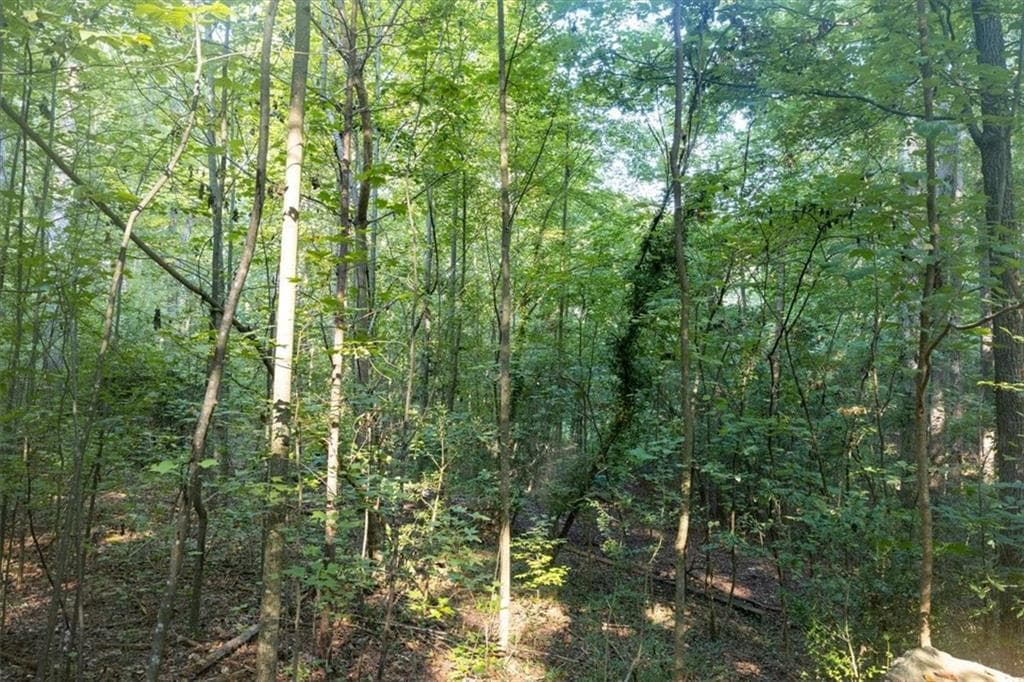 unimproved land for sale at 211 McDaniel Road, Marietta, GA 30064 — photo 8