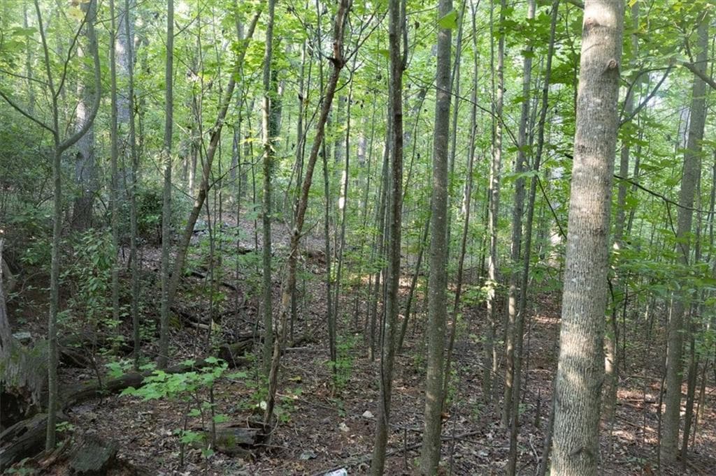 unimproved land for sale at 211 McDaniel Road, Marietta, GA 30064 — photo 9