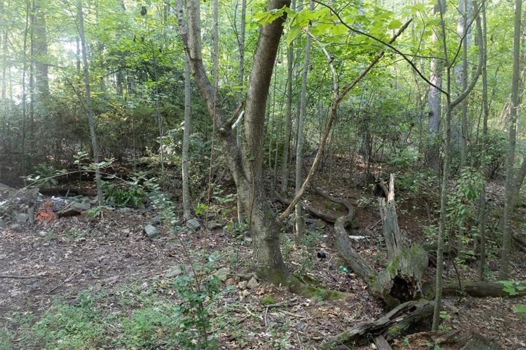 unimproved land for sale at 211 McDaniel Road, Marietta, GA 30064 — photo 10