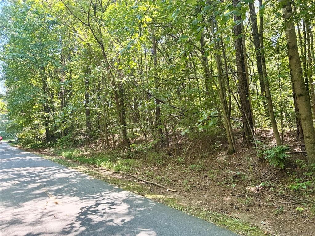 other for sale at 0 New Macland Road, Powder Springs, GA 30127 — photo 4