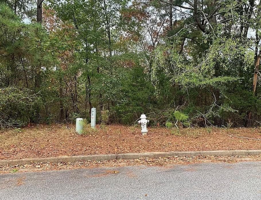 single family residence for sale at 4103 Sierra Court, Stockbridge, GA 30281 — photo 4