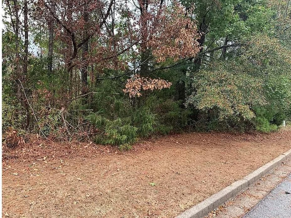 single family residence for sale at 4103 Sierra Court, Stockbridge, GA 30281 — photo 5