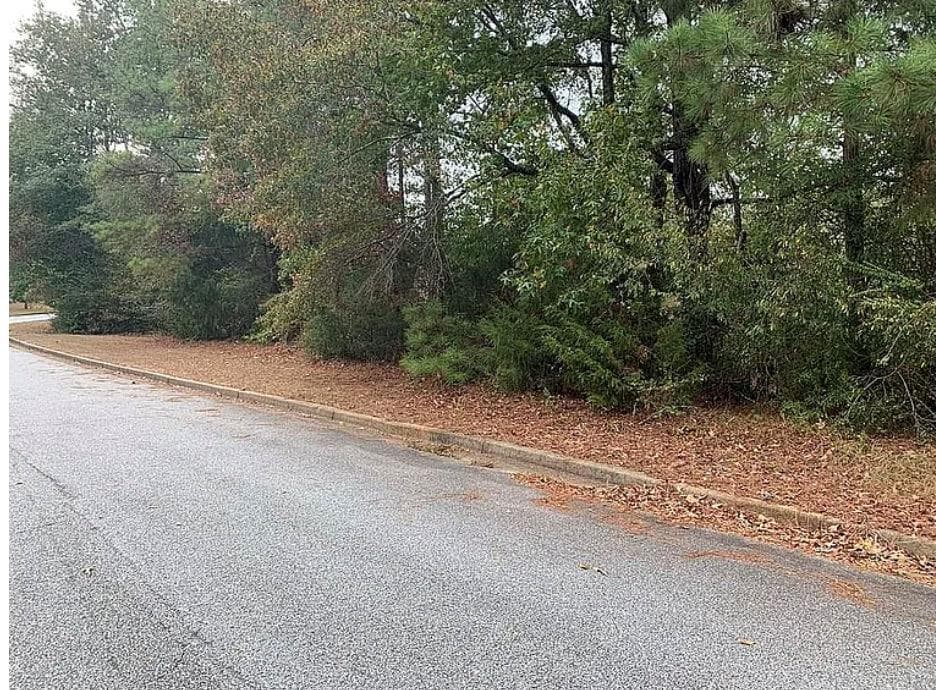 single family residence for sale at 4103 Sierra Court, Stockbridge, GA 30281 — photo 6