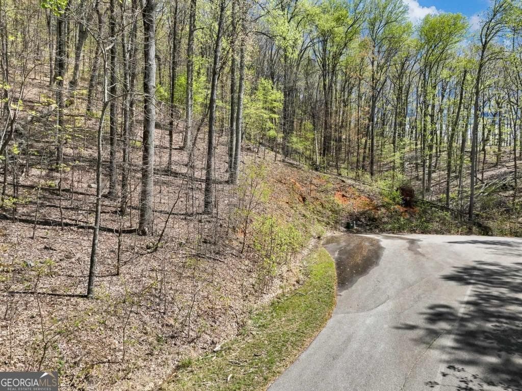 unimproved land for sale at 0 Stone Cliff Trace, Cleveland, GA 30528 — photo 2