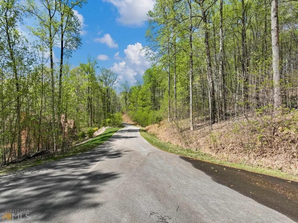 unimproved land for sale at 0 Stone Cliff Trace, Cleveland, GA 30528 — photo 3
