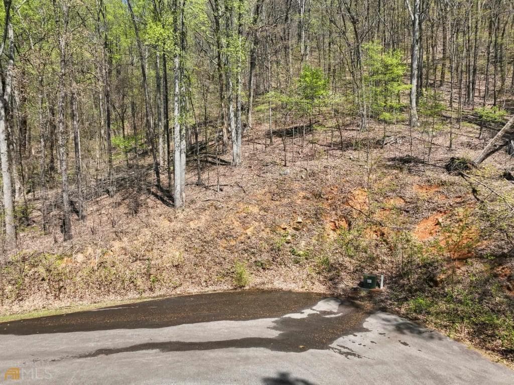 unimproved land for sale at 0 Stone Cliff Trace, Cleveland, GA 30528 — photo 4