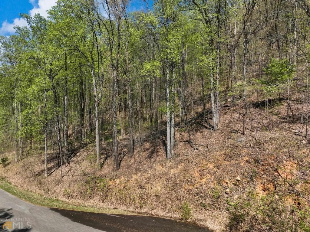 unimproved land for sale at 0 Stone Cliff Trace, Cleveland, GA 30528 — photo 5