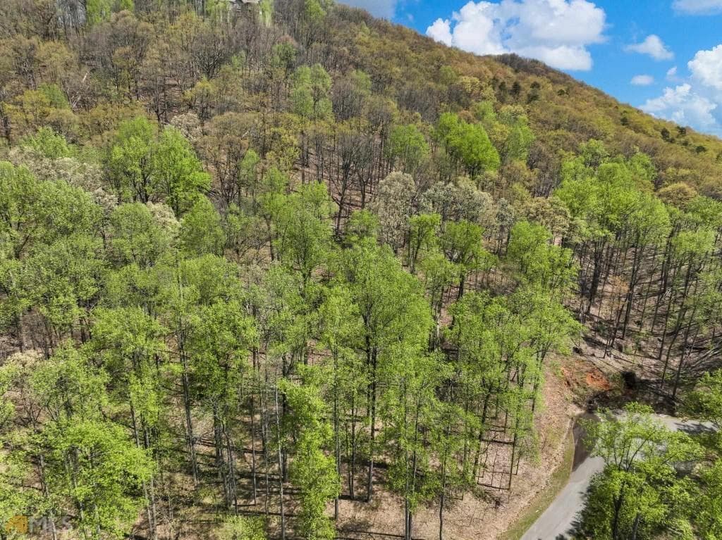 unimproved land for sale at 0 Stone Cliff Trace, Cleveland, GA 30528 — photo 6