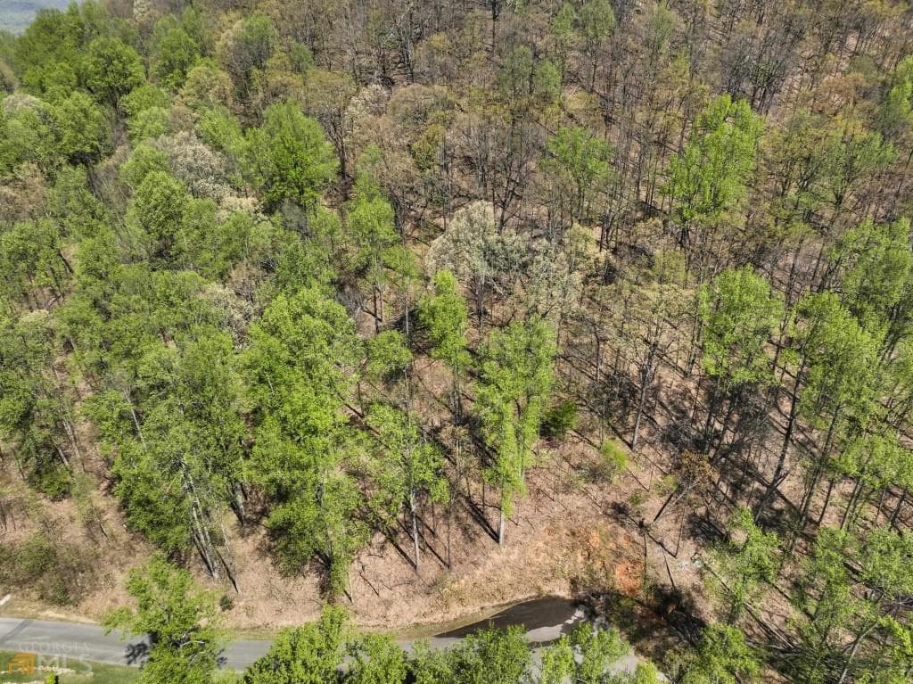 unimproved land for sale at 0 Stone Cliff Trace, Cleveland, GA 30528 — photo 7