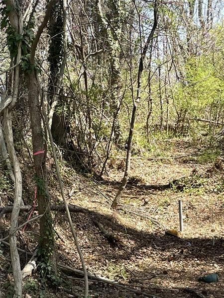 unimproved land for sale at 400 BROWNLEE Road, Atlanta, GA 30311 — photo 3